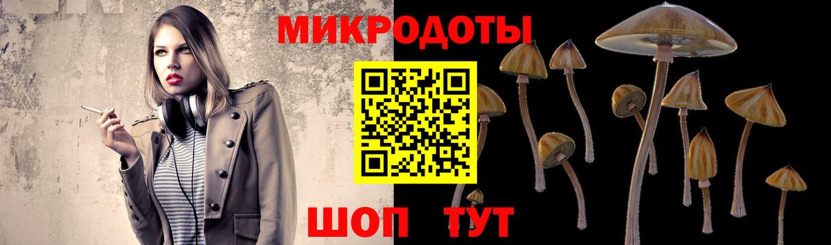 Галлюциногенные грибы прущие грибы Елец